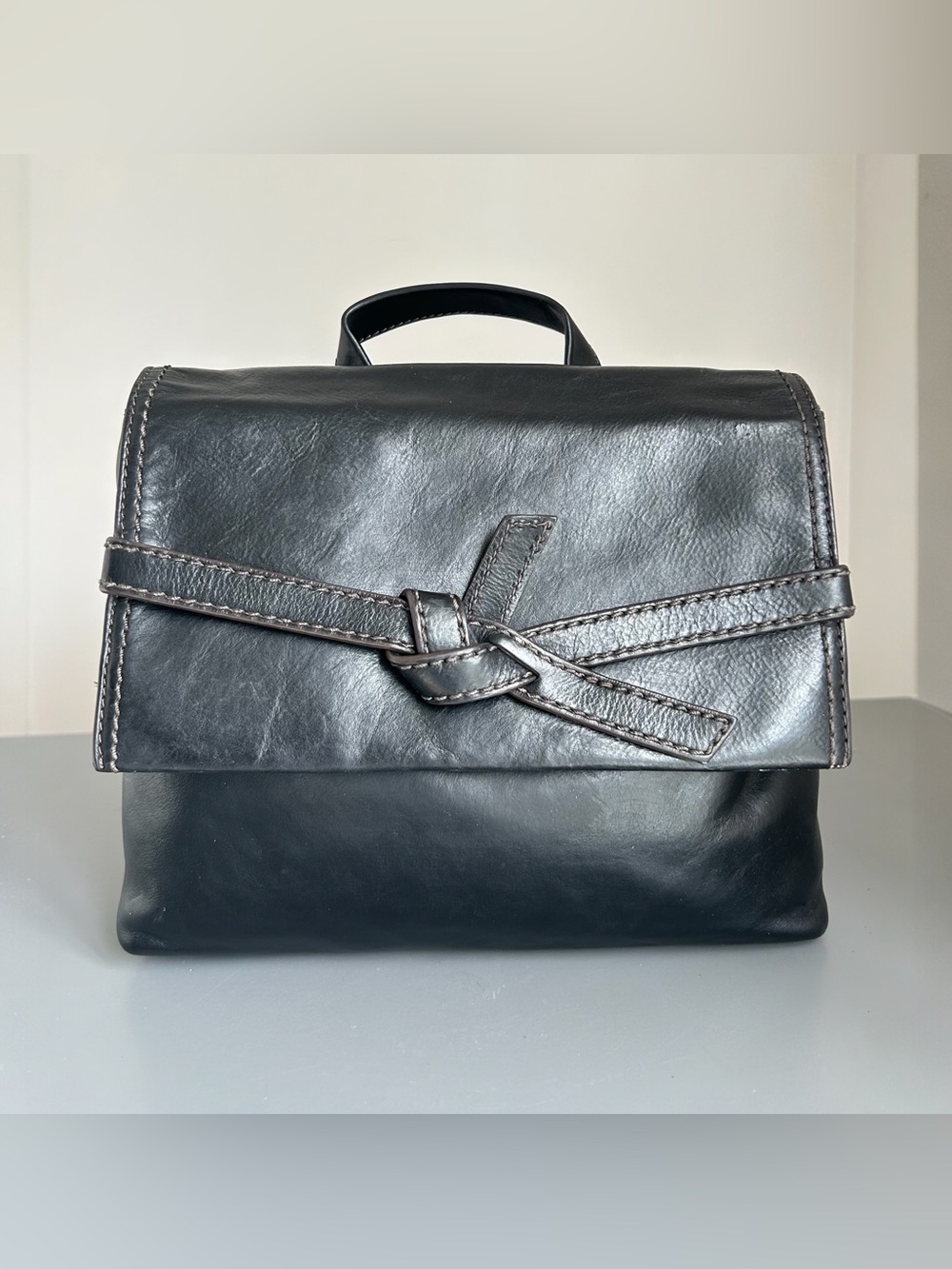 Fossil Willow Crossbody Bag